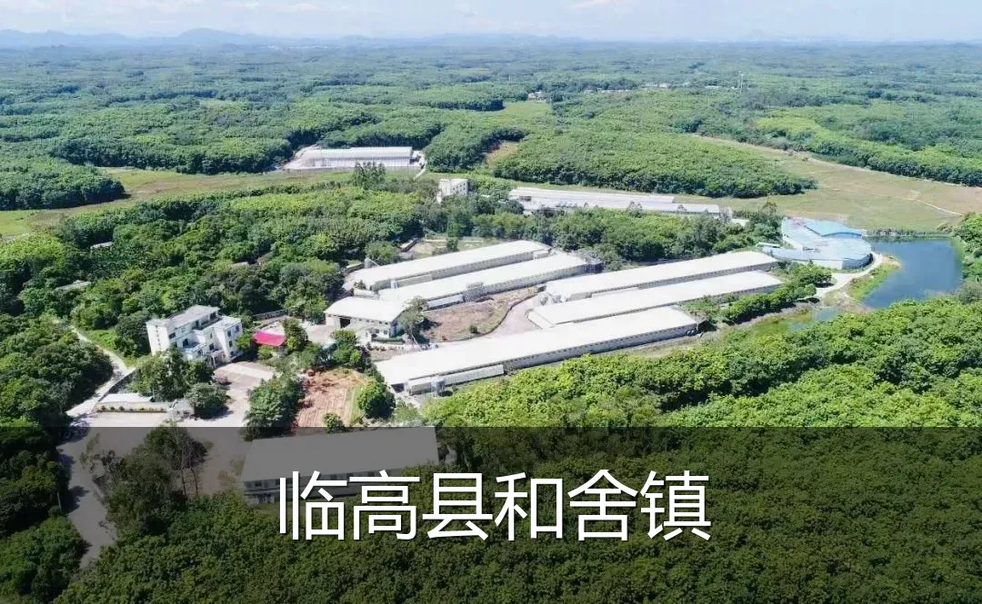 临高县和舍镇